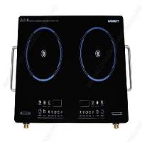 Bếp hồng ngoài Sanaky AT-203HGNW