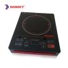 bep-hong-ngoai-sanaky-at-2101hg - ảnh nhỏ  1