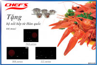 Tìm hiểu về bếp từ Chefs